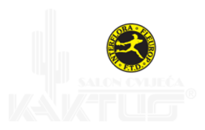 Kaktus cvjećara